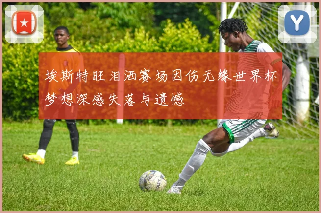 埃斯特旺泪洒赛场因伤无缘世界杯梦想深感失落与遗憾