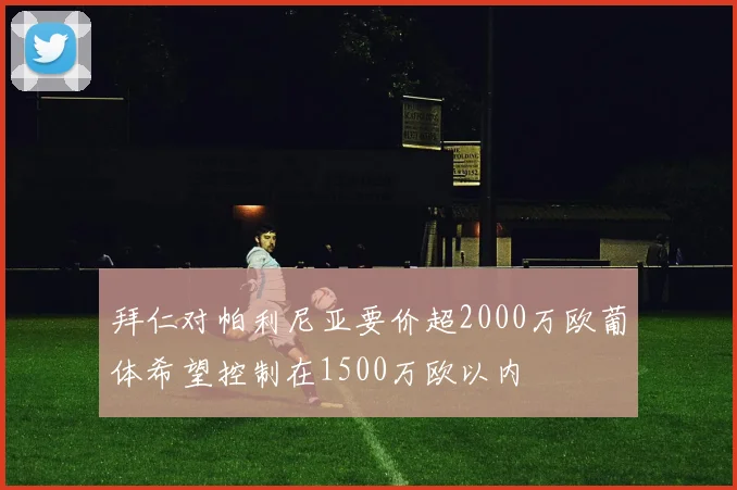 拜仁对帕利尼亚要价超2000万欧葡体希望控制在1500万欧以内